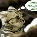 Що вибрати для ноутбука сумку або чохол (чохол) Що вибрати для ноутбука сумку або чохол