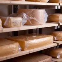 Що таке мечніковских кисле молоко (стрептококів болгарської палички) Що таке мечніковских кисле молоко