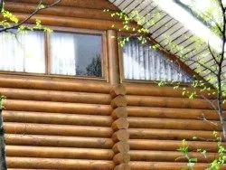 Що таке морилка і як їй правильно користуватися дізнайтеся прямо зараз! (Морилка) Що таке морилка і як їй правильно користуватися дізнайтеся прямо зараз!