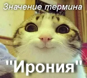 Що значить іронія як зрозуміти слово іронія переклад терміна іронія (зрозуміти) Що значить іронія як зрозуміти слово іронія переклад терміна іронія