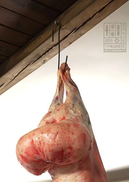 Що таке курдюк