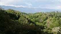Ущелини Піцунди - на карті, путівник та фотографії з назвою та описом популярних карті