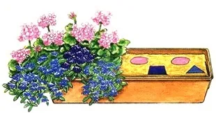 Квіти для балконних ящиків (ящиків) Квіти для балконних ящиків