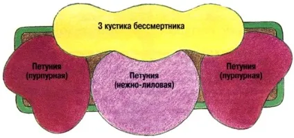 Квіти для балконних ящиків (Patio Blue центрі) Квіти для балконних ящиків