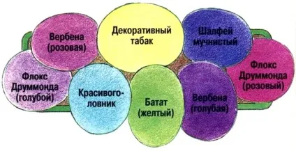 Квіти для балконних ящиків (балконних) Квіти для балконних ящиків