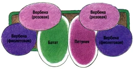 Квіти для балконних ящиків (балконних) Квіти для балконних ящиків