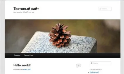 Cms wordpress - основи, переваги і робота по організації сайту