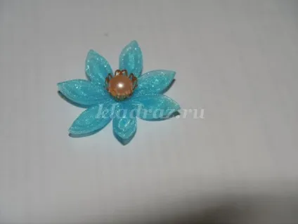 Квітка казанші своїми руками (класу) Квітка казанші своїми руками