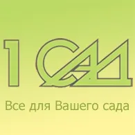 декоративні чагарники