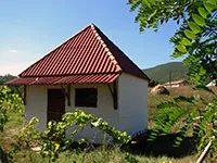Дегустація кримського гірського меду