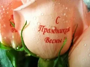 Декольная папір для струменевих і лазерних принтерів (папір) Декольная папір для струменевих і лазерних принтерів