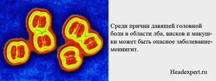 Давящая головний біль причини, лікування, діагностика (потилиці скронях області) Давящая головний біль причини, лікування, діагностика