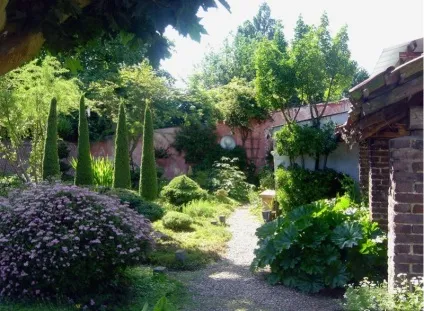 Декоративні чагарники для дачі з фото і назвами квітучі і просто красиві