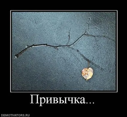 Демотиватори про любов (290 фото) (скачати демотиватори.) Демотиватори про любов (290 фото)