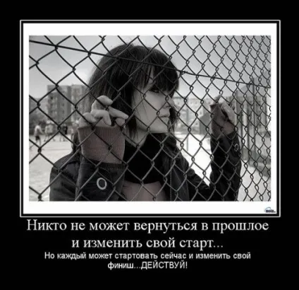 Демотиватори про любов (290 фото) (демотиватори коте фото) Демотиватори про любов (290 фото)