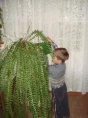 Діяльність дитячого садка