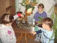 Діяльність дитячого садка