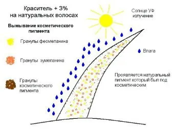 Дія відсотка окислювача на процес фарбування (дія) Дія відсотка окислювача на процес фарбування