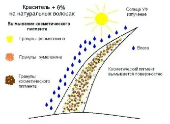 Дія відсотка окислювача на процес фарбування (окислювача) Дія відсотка окислювача на процес фарбування