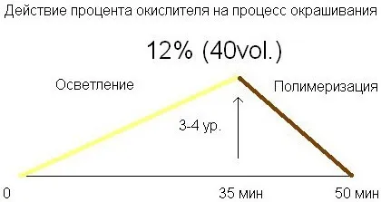 Дія відсотка окислювача на процес фарбування (дія) Дія відсотка окислювача на процес фарбування