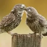 Для нього існує тільки даний момент, і цей момент такий, як є (існує) Для нього існує тільки даний момент, і цей момент такий, як є