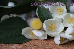 Домашні бальзами для губ