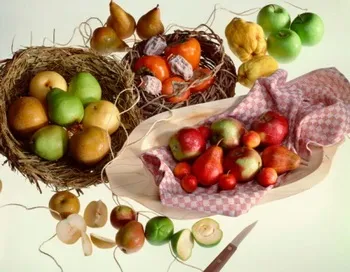 Для чого потрібна клітковина, велика епоха (цікаве) Для чого потрібна клітковина, велика епоха