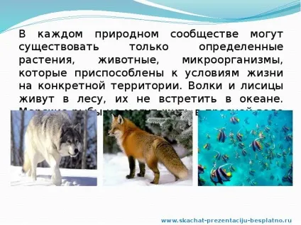 Доповідь по темі природні співтовариства (презентація по біологія) Доповідь по темі природні співтовариства
