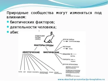 Доповідь по темі природні співтовариства (pptx) Доповідь по темі природні співтовариства