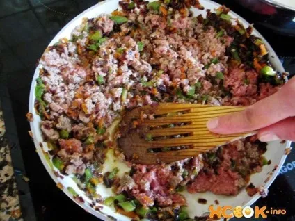 Домашня лазіння - покрокової рецепт з фото, як приготувати з фаршем