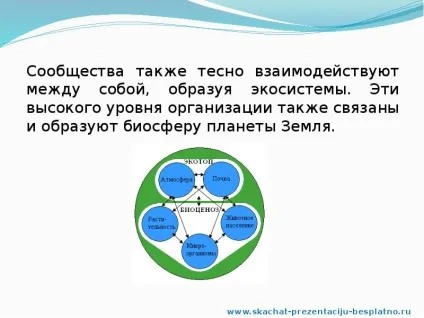 Доповідь по темі природні співтовариства (Слайд презентації слайді) Доповідь по темі природні співтовариства