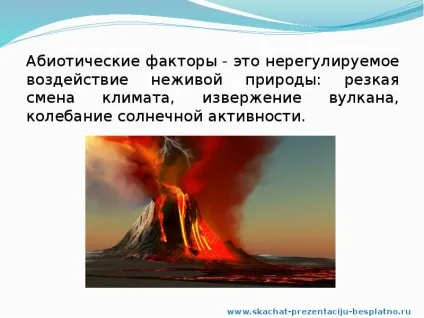 Доповідь по темі природні співтовариства (ppt) Доповідь по темі природні співтовариства