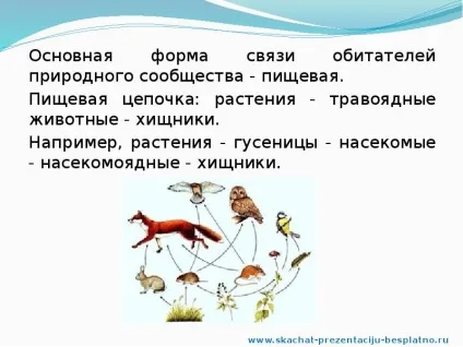 Доповідь по темі природні співтовариства (Слайд презентації слайді) Доповідь по темі природні співтовариства