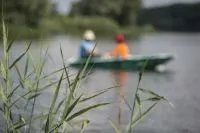 Дві половинки