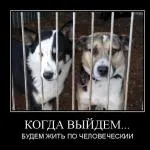 Якщо ти залишився вдома без батьків один (батьків) Якщо ти залишився вдома без батьків один