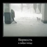 Якщо ти залишився вдома без батьків один (батьків) Якщо ти залишився вдома без батьків один