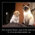 Якщо ти залишився вдома без батьків один (батьків) Якщо ти залишився вдома без батьків один