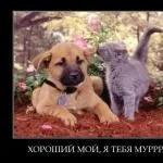 Якщо ти залишився вдома без батьків один (один) Якщо ти залишився вдома без батьків один
