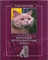 Електронні книги про кішок - продаж електронний книг недорого - все про кішок і котів (кішок) Електронні книги про кішок - продаж електронний книг недорого - все про кішок і котів