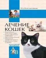 Електронні книги про кішок - продаж електронний книг недорого - все про кішок і котів (кішок) Електронні книги про кішок - продаж електронний книг недорого - все про кішок і котів