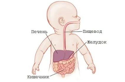 Ентерит у дітей характерні симптоми і необхідну лікування