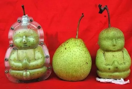 Енциклопедія технологій і методик - як перетворити звичайні овочі в екзотичні (саморобки) Енциклопедія технологій і методик - як перетворити звичайні овочі в екзотичні