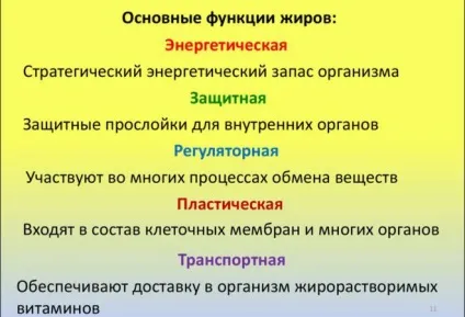 Ендокринолог при схудненні поради і дієта (схудненні) Ендокринолог при схудненні поради і дієта