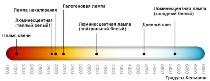 Фітолампи - помічник для вирощування рослин в домашніх умовах, робимо своїми руками (вирощування) Фітолампи - помічник для вирощування рослин в домашніх умовах, робимо своїми руками