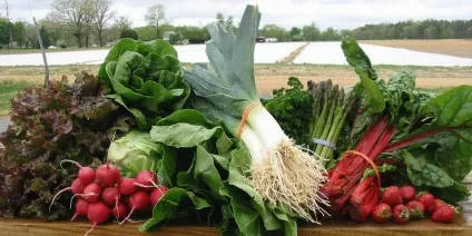 фермерські продукти