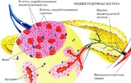 ферментативна недостатність