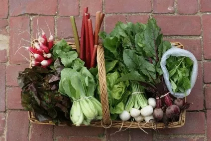 фермерські продукти