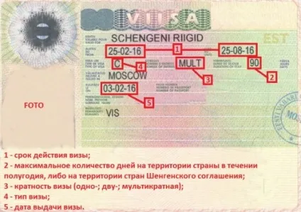 Естонська віза правила оформлення шенгену в Естонію у візовому центрі (правила) Естонська віза правила оформлення шенгену в Естонію у візовому центрі