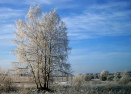 Фото світ природи