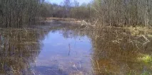 Вудіння в полоях - Рибалка рибалка
